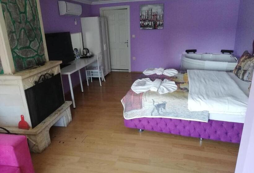 Номер Deluxe с Балконом, Alesta Butik Otel