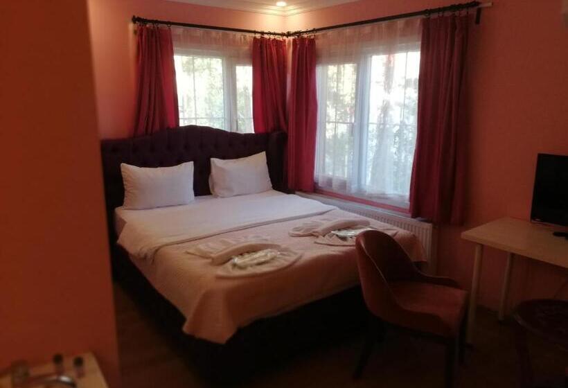 Номер Стандарт Вид на Бассейн, Alesta Butik Otel