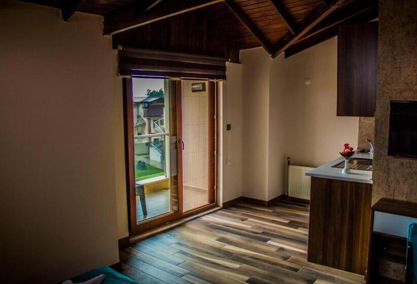 Студио Стандарт Вид на Бассейн, Form Thermal Hotel & Spa Kazdağları