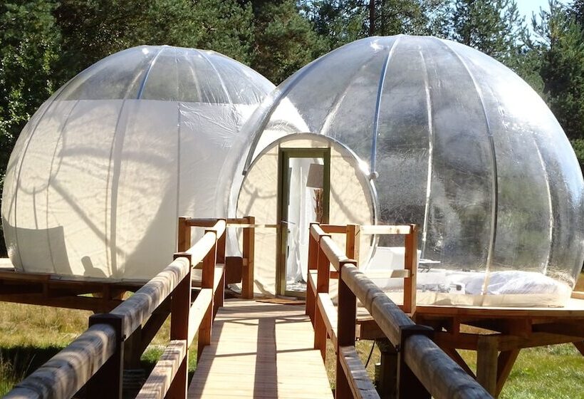 Хижина, Les Bulles De Sologne   Hébergements Insolites