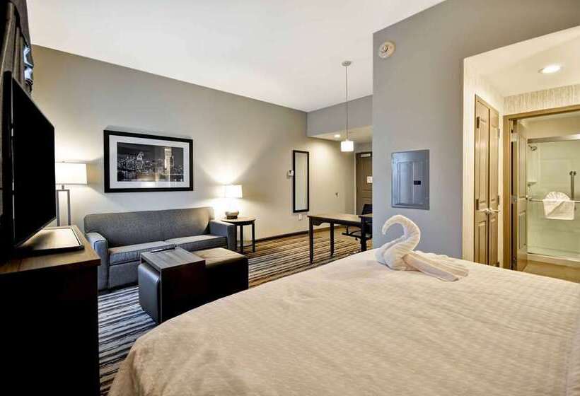 Estúdio standart Cama King, Homewood Suites By Hilton Chicago Downtown South Loop