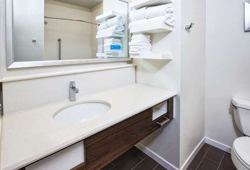 Suite, Homewood Suites By Hilton Chicago Downtown South Loop