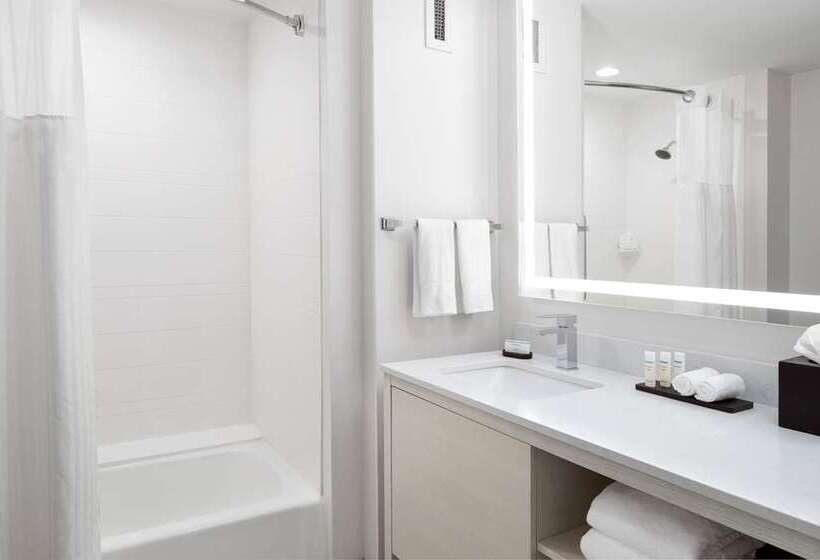 Estúdio standart Cama King, Homewood Suites By Hilton Chicago Downtown South Loop