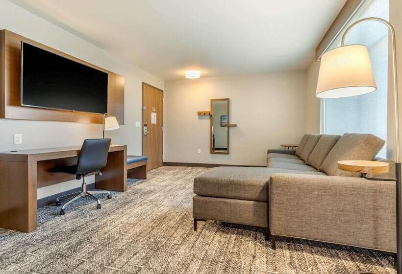 سوئیت برای معلولان, Cambria Hotel Davenport Quad Cities