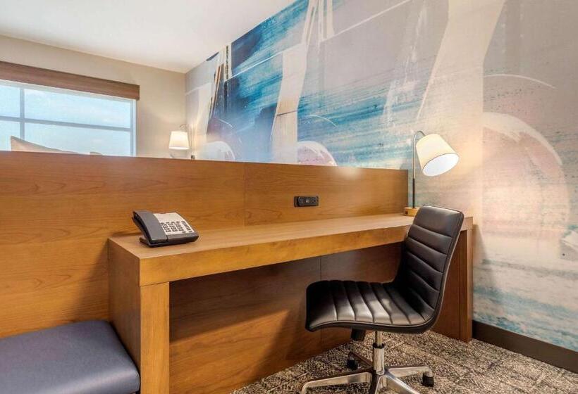 اتاق استاندارد با تخت بزرگ برای معلولان, Cambria Hotel Davenport Quad Cities