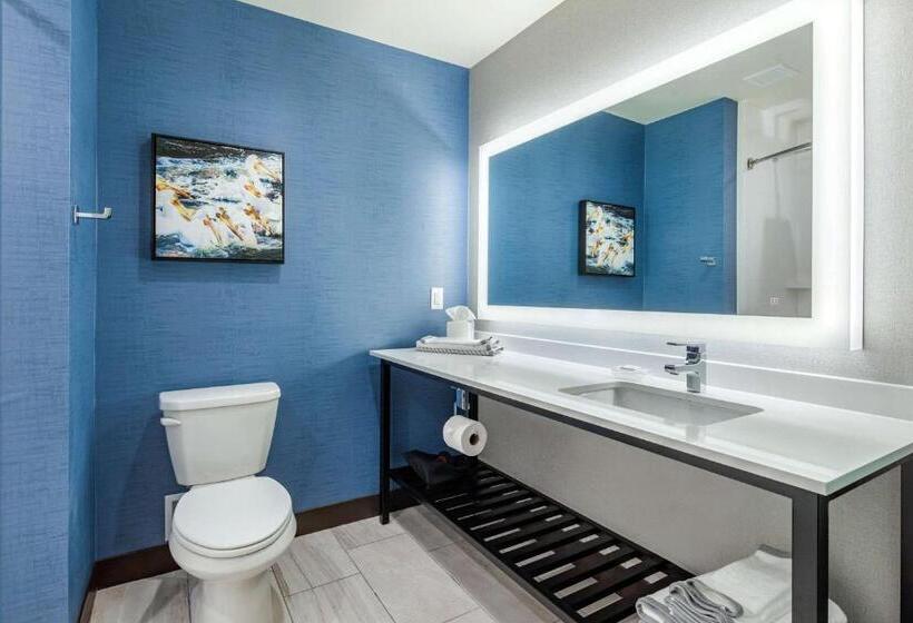 اتاق استاندارد با تخت بزرگ برای معلولان, Cambria Hotel Davenport Quad Cities