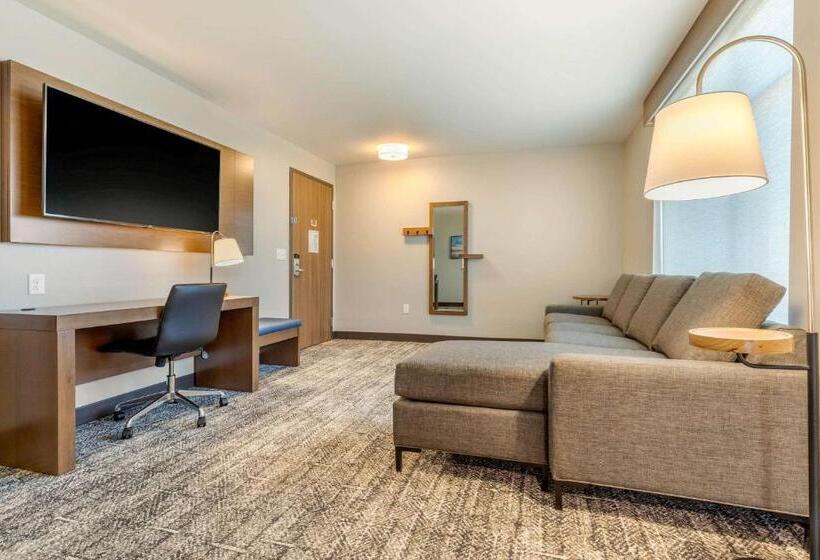سوئیت با تخت بزرگ, Cambria Hotel Davenport Quad Cities