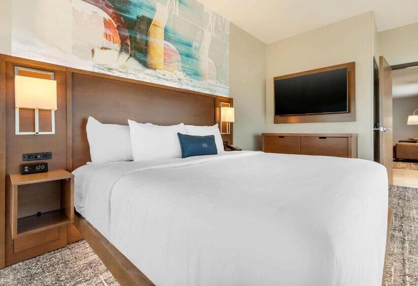 سوئیت برای معلولان, Cambria Hotel Davenport Quad Cities