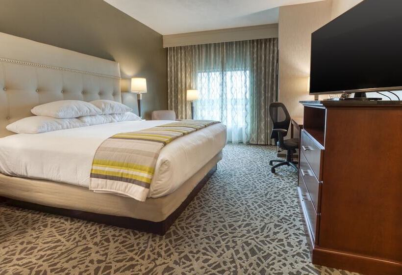 Номер Deluxe Адаптированный для Инвалидов, Drury Plaza Hotel Dallas Richardson