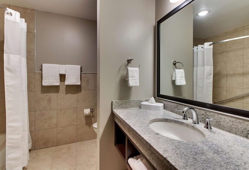 Люкс, Drury Plaza Hotel Dallas Richardson
