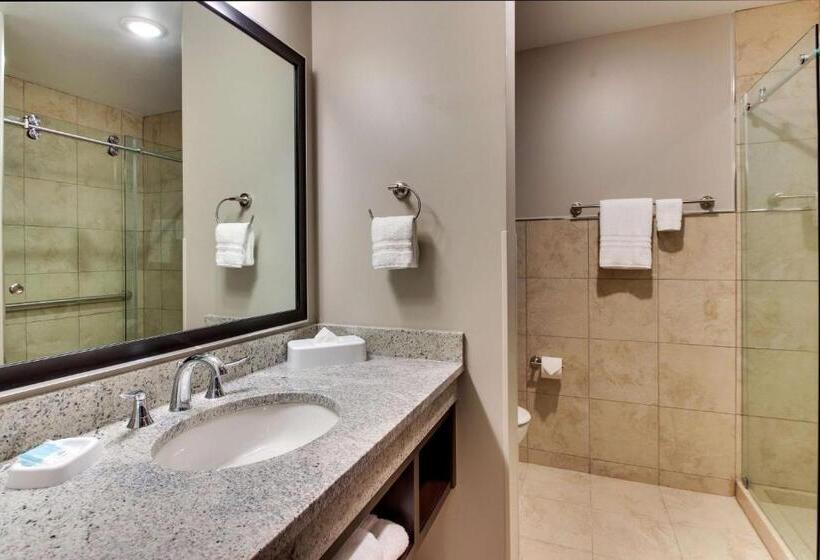 Студио Стандарт Кровать Кинг, Drury Plaza Hotel Dallas Richardson