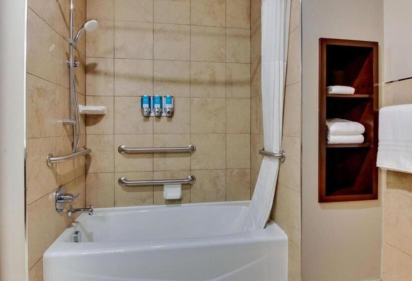 Люкс Адаптированный для Инвалидов, Drury Plaza Hotel Dallas Richardson