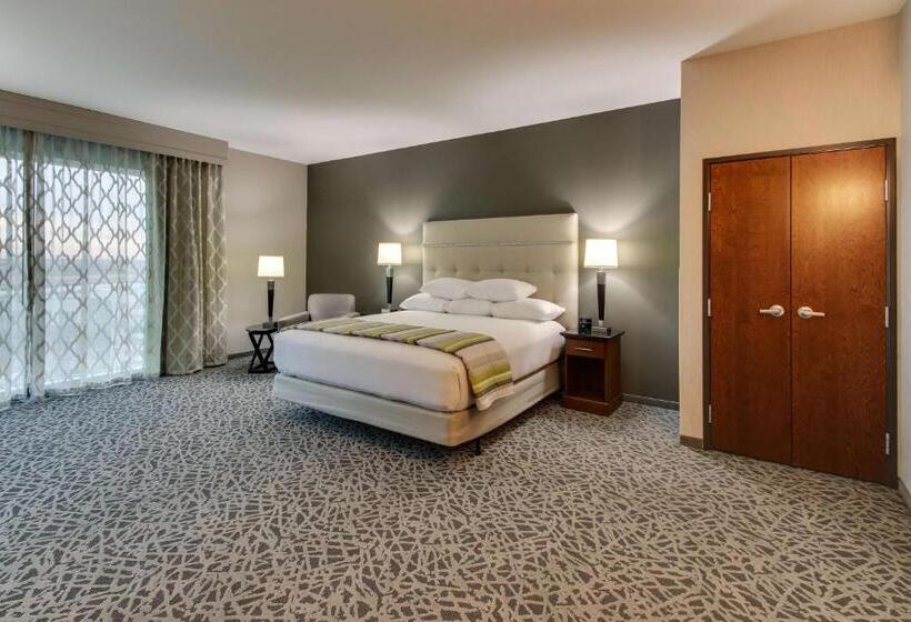 Номер Superior Адаптированный для Инвалидов, Drury Plaza Hotel Dallas Richardson