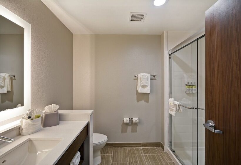 Люкс Адаптированный для Инвалидов, Holiday Inn Express & Suites   Houston Nasa   Boardwalk Area, An Ihg
