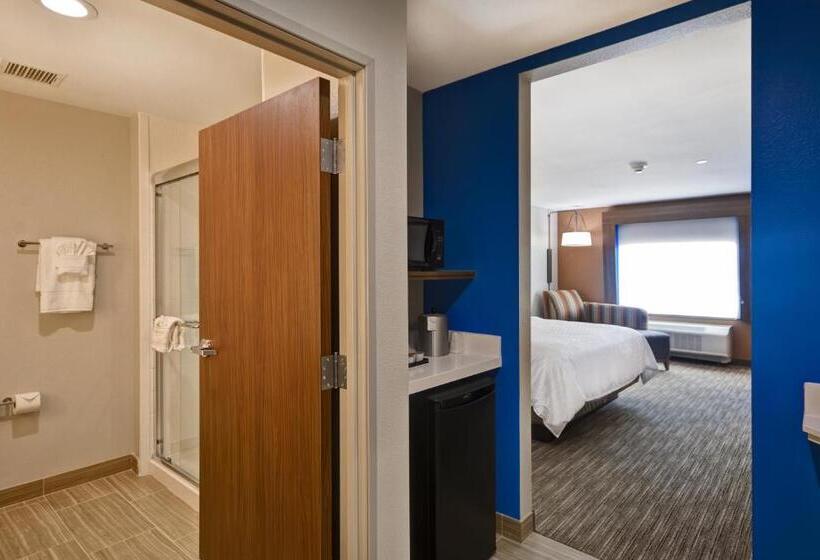 Номер Стандарт Кровать Кинг Адаптированный для Инвалидов, Holiday Inn Express & Suites   Houston Nasa   Boardwalk Area, An Ihg