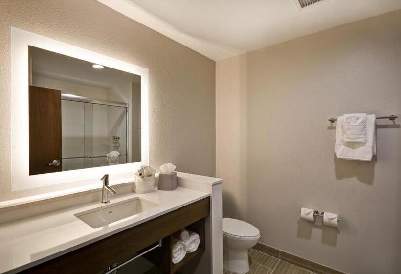 Люкс Адаптированный для Инвалидов, Holiday Inn Express & Suites   Houston Nasa   Boardwalk Area, An Ihg