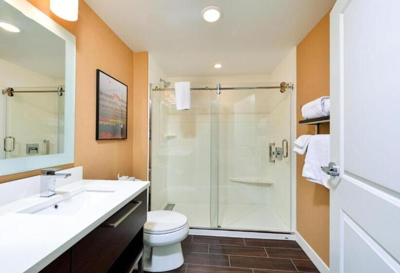 스탠다드 스튜디오 킹침대, Towneplace Suites By Marriott Detroit Belleville