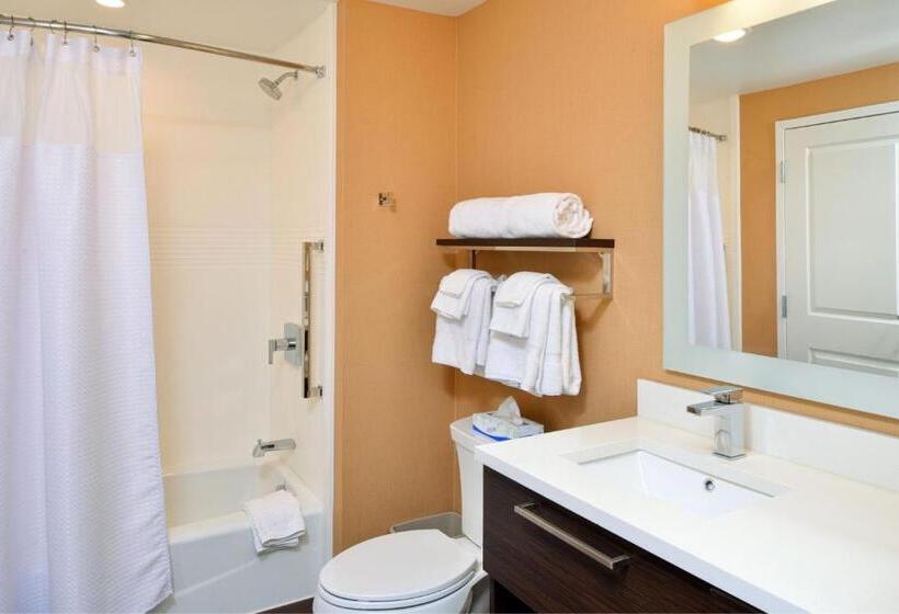 스탠다드 스튜디오, Towneplace Suites By Marriott Detroit Belleville