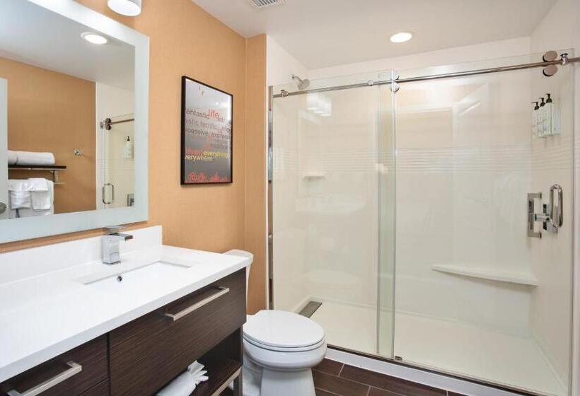 스탠다드 스튜디오 킹침대, Towneplace Suites By Marriott Detroit Belleville