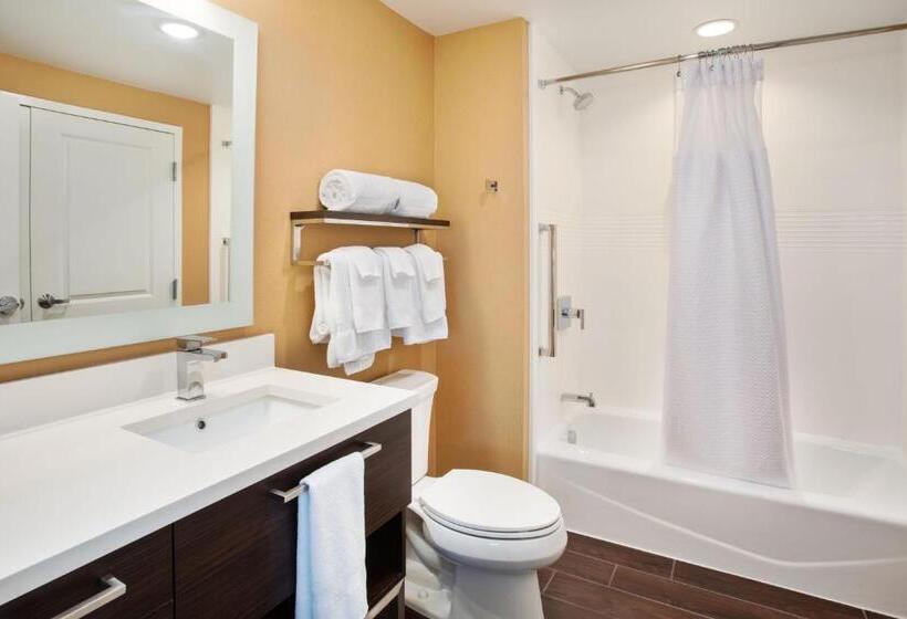 스탠다드 스튜디오, Towneplace Suites By Marriott Detroit Belleville