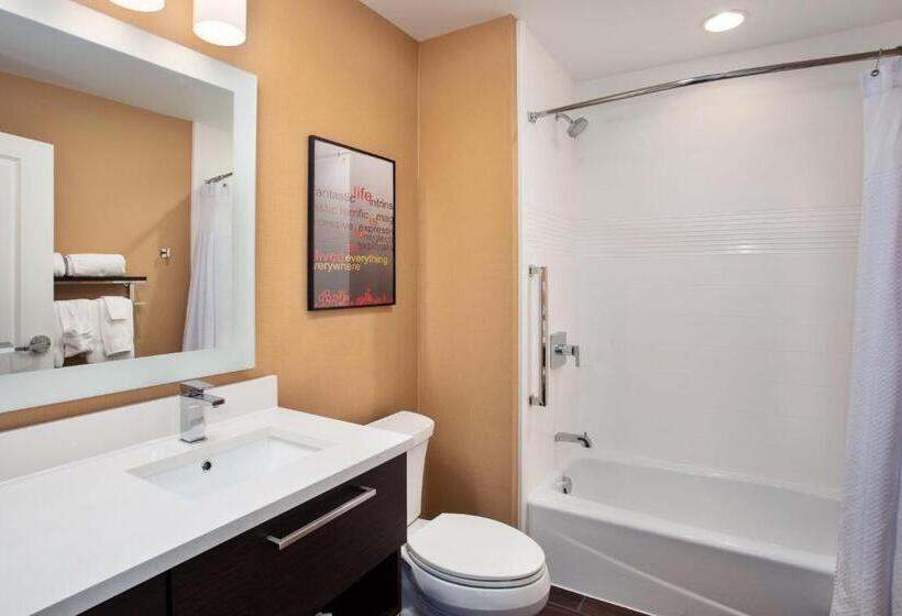스위트, Towneplace Suites By Marriott Detroit Belleville
