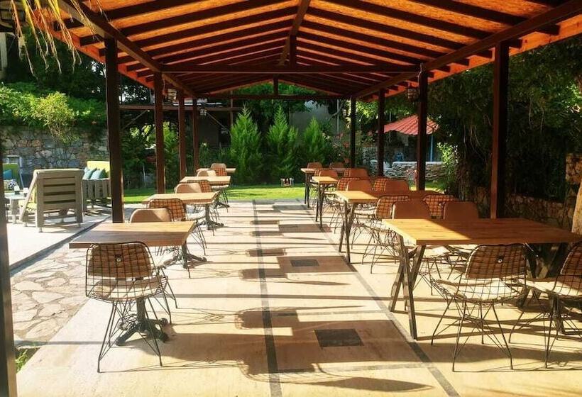 اتاق استاندارد با چشم‌انداز استخر, Nehir Dalyan Boutique Otel