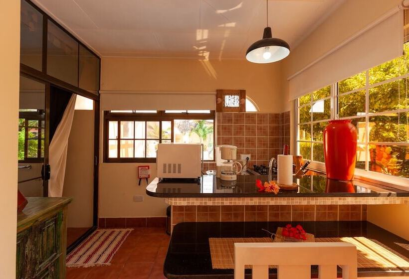 اتاق خانوادگی با چشم‌انداز باغ, Oceane Self Catering