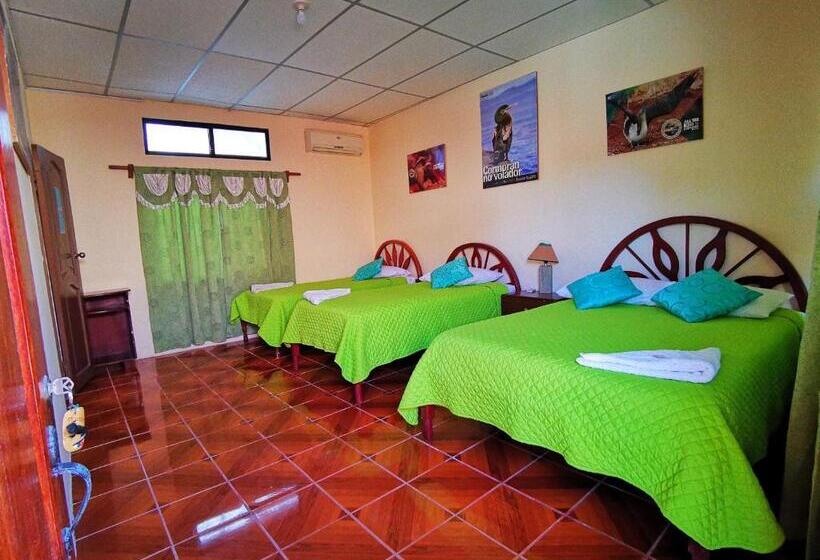 اتاق استاندارد چهار تخته, Hostal Villamil