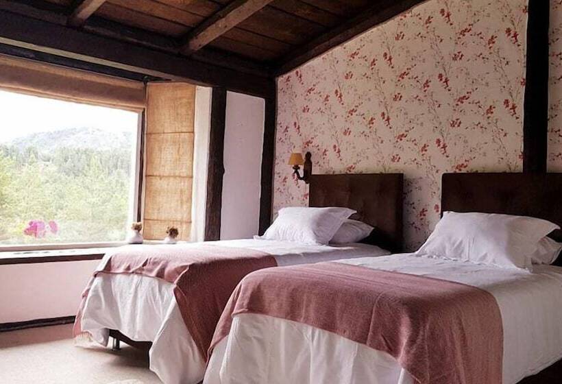 חדר סופריור, The Patagonian Lodge