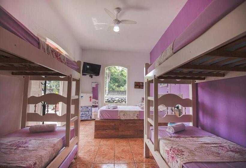 Семейный Номер Deluxe, Pousada Casa Do Rio Hostel   8 Min Do Centro Hístorico   Passeio De Barco Com Saída Da Pousada  Pago