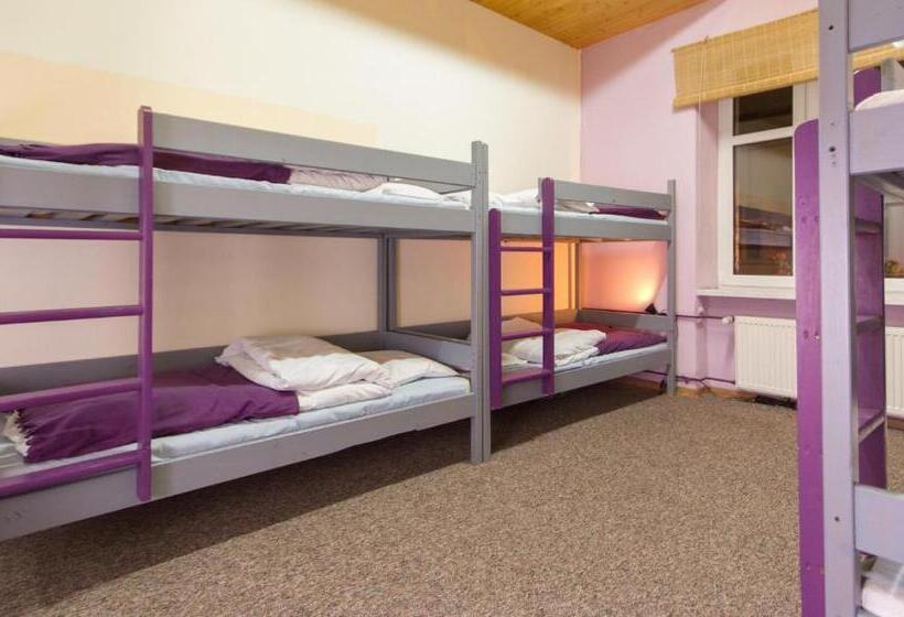 Кровать в Общей Комнате, 3 Bros' Hostel Cieszyn