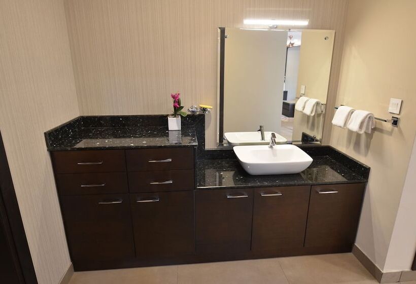 Апартаменты Deluxe 1 Спальня, Casa In Luxury Suites