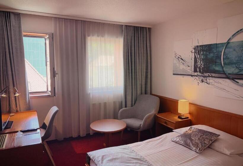 Номер Стандарт, Hôtel Des Trois Rois