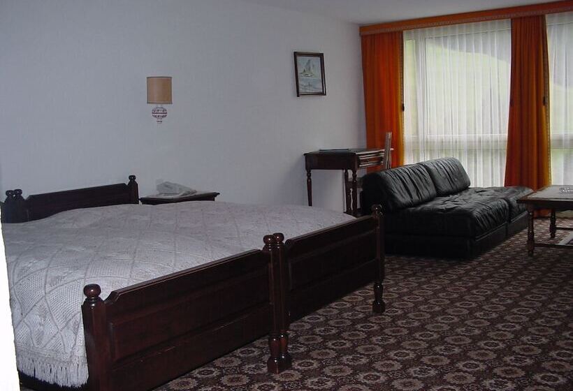 Номер Стандарт Вид на Горы, Regina Terme