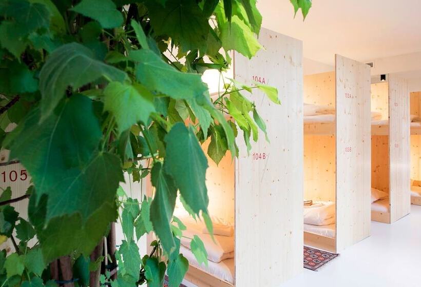 Кровать в Общей Комнате, The Green Elephant Hostel & Spa