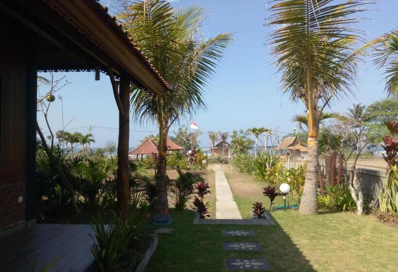 디럭스 테라스 룸 바다 전망, Emir Surfcamp