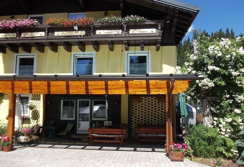 Одноместный Номер Basic, Pension Haus Rohrmoser