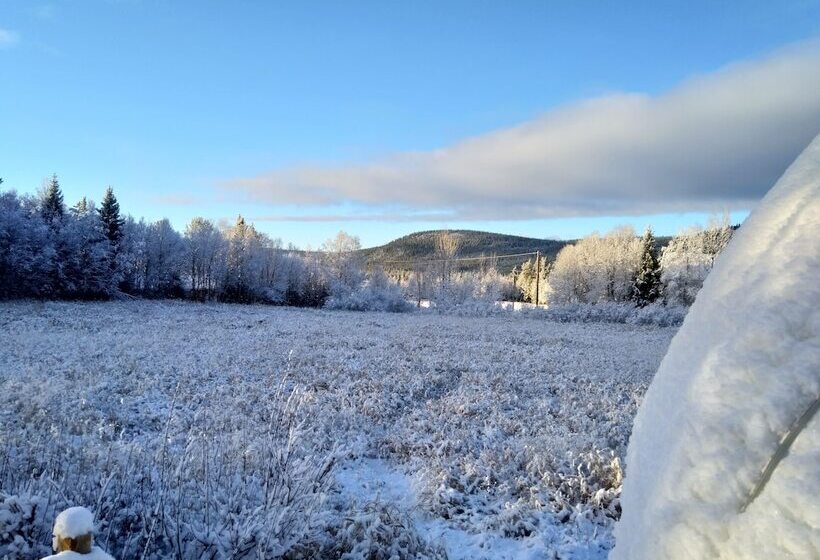 چادر با خدمات رفاهی استاندارد, Trysil Glamping