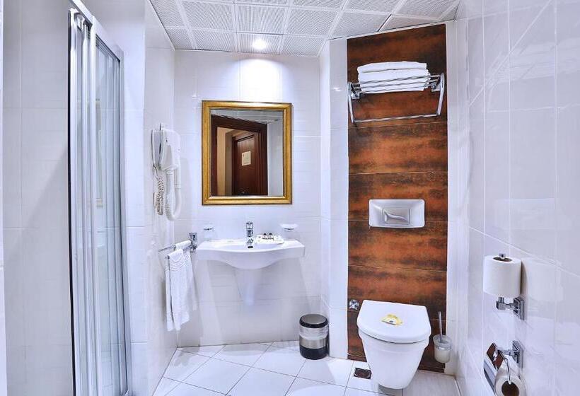 اتاق استاندارد یک نفره, Mosaic Hotel Old City  Special Category