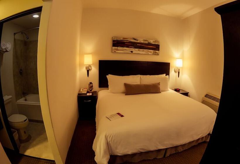 주니어 스위트, Barrokas Hotel & Suites