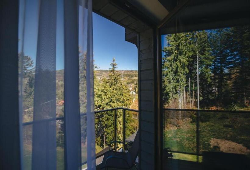 Апартаменты Премиум 1 Спальня, Czarny Kamień Resort & Spa