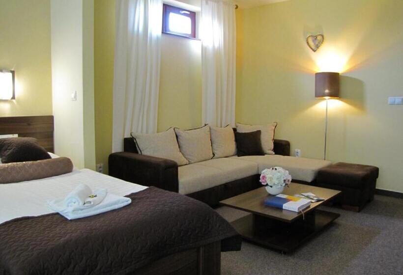شقة سوبريور غرفة واحدة, Grand Hotel Senica, Garni