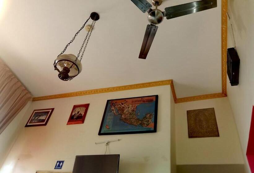 Standardrum, The Roof Backpackers