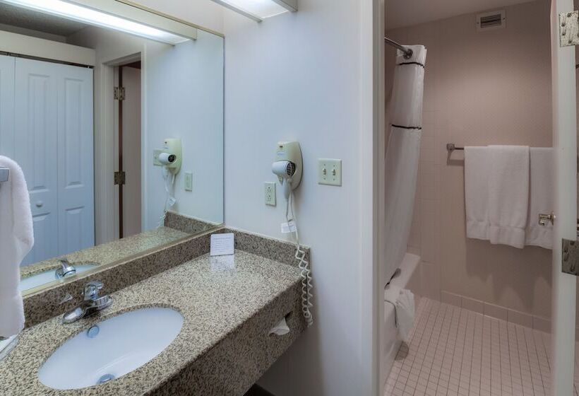 Номер Стандарт 2 Двуспальные Кровати, Ashmore Inn And Suites Lubbock