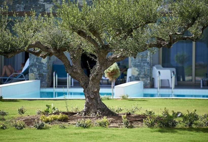 اتاق لوکس, Kakkos Beach Hotel   Adults Only