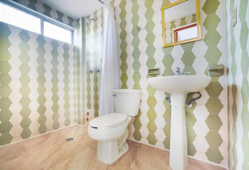 Quarto Estandar, Adelita