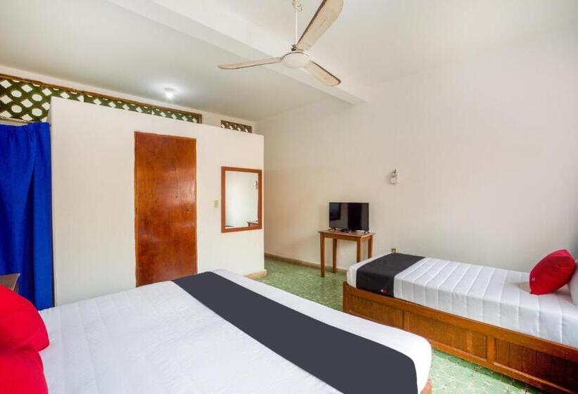 Quarto Triplo Estandar, Adelita