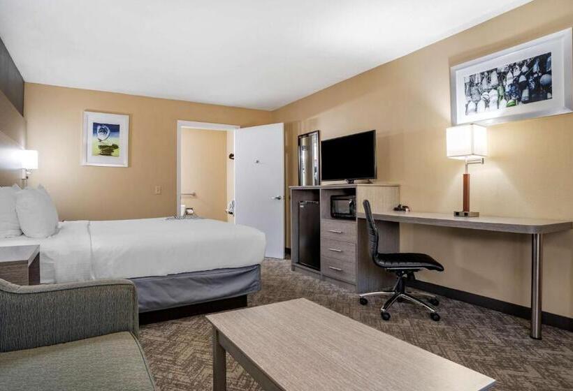 חדר סטנדרט עם מיטת קינג, Best Western Apalach Inn