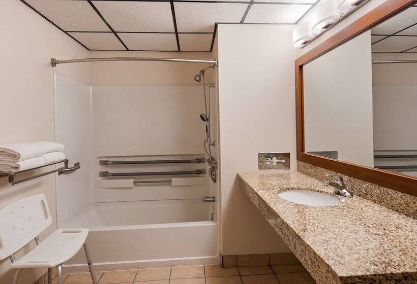 스위트, Best Western Buffalo Ridge Inn Near Mt Rushmore