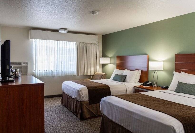 스위트, Best Western Buffalo Ridge Inn Near Mt Rushmore